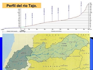 Perfil del río Tajo. 