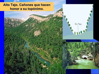 Alto Tajo. Cañones que hacen honor a su topónimo. 
