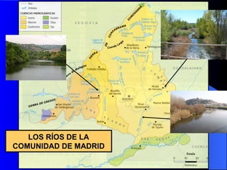 LOS RÍOS DE LA COMUNIDAD DE MADRID 