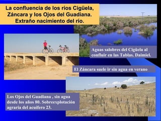 La confluencia de los ríos Cigüela, Záncara y los Ojos del Guadiana. Extraño nacimiento del río. Aguas salobres del Cigüela al confluir en las Tablas. Daimiel. El Záncara suele ir sin agua en verano Los Ojos del Guadiana , sin agua desde los años 80. Sobreexplotación agraria del acuífero 23. 