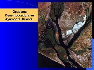 Guadiana Desembocadura en Ayamonte. Huelva.  