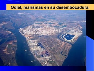 Odiel, marismas en su desembocadura. 