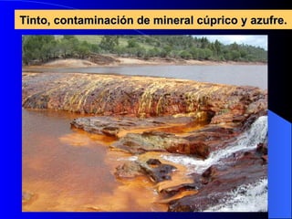 Tinto, contaminación de mineral cúprico y azufre. 