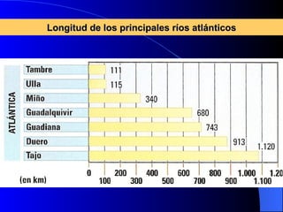 Longitud de los principales ríos atlánticos 
