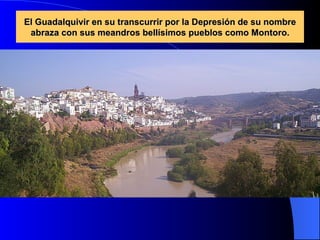 El Guadalquivir en su transcurrir por la Depresión de su nombre abraza con sus meandros bellísimos pueblos como Montoro. 