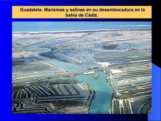 Guadalete. Marismas y salinas en su desembocadura en la bahía de Cádiz. 