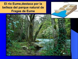 El río Eume,destaca por la belleza del parque natural de Fragas de Eume 