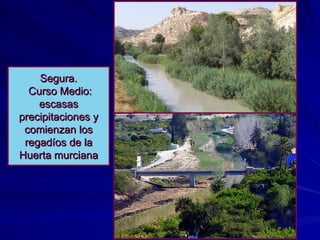 Segura.  Curso Medio: escasas precipitaciones y comienzan los regadíos de la Huerta murciana 