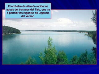 El embalse de Alarcón recibe las aguas del trasvase del Tajo, que va a permitir los regadíos de urgencia del verano. 