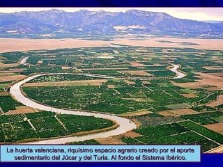 La huerta valenciana, riquísimo espacio agrario creado por el aporte sedimentario del Júcar y del Turia. Al fondo el Sistema Ibérico. 