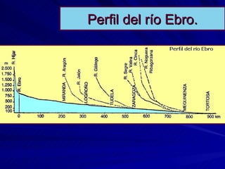 Perfil del río Ebro. 