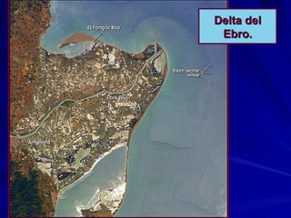 Delta del Ebro. 