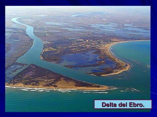 Delta del Ebro. 