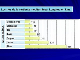 Los ríos de la vertiente mediterránea. Longitud en kms. 