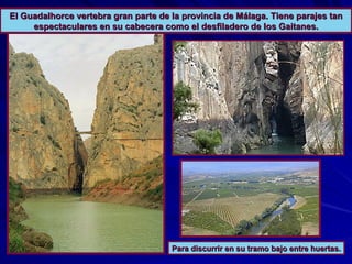 El Guadalhorce vertebra gran parte de la provincia de Málaga. Tiene parajes tan espectaculares en su cabecera como el desfiladero de los Gaitanes. Para discurrir en su tramo bajo entre huertas. 