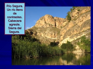 Río Segura. Un río lleno de contrastes. Cabecera agreste. Sierra del Segura.  