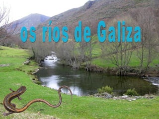 os ríos de Galiza 