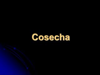 Cosecha
 