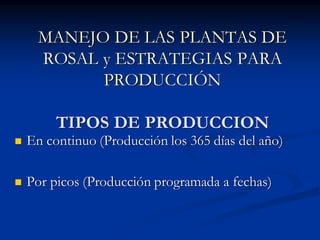 MANEJO DE LAS PLANTAS DE
ROSAL y ESTRATEGIAS PARA
PRODUCCIÓN
TIPOS DE PRODUCCION
 En continuo (Producción los 365 días del año)
 Por picos (Producción programada a fechas)
 