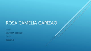 ROSA CAMELIA GARIZAO
Tutora
YELITHZA CEDENO
Grupo
900004_5
 