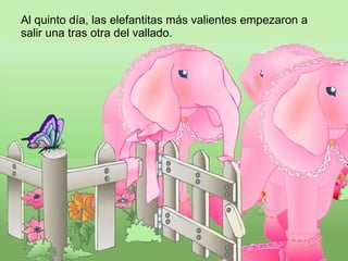 Al quinto día, las elefantitas más valientes empezaron a salir una tras otra del vallado.  