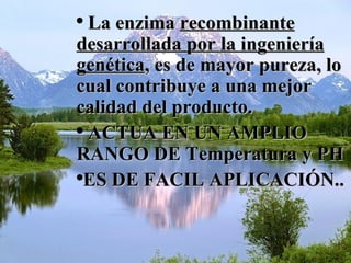 ●
La enzima recombinante
desarrollada por la ingeniería
genética, es de mayor pureza, lo
cual contribuye a una mejor
calidad del producto.
●
ACTUA EN UN AMPLIO
RANGO DE Temperatura y PH
●
ES DE FACIL APLICACIÓN..