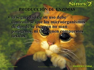 PRODUCCIÓN DE ENZIMAS
• la seguridad de su uso debe
controlarse que los microorganismos
de donde se extraen no sean
patógenos, ni fabriquen compuestos
tóxicos.