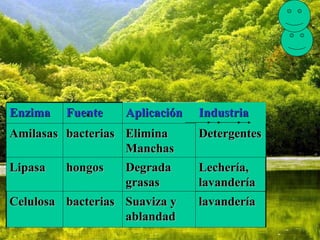 Enzima Fuente Aplicación Industria
Amilasas bacterias Elimina Detergentes
Manchas
Lipasa hongos Degrada Lechería,
grasas lavandería
Celulosa bacterias Suaviza y lavandería
ablandad