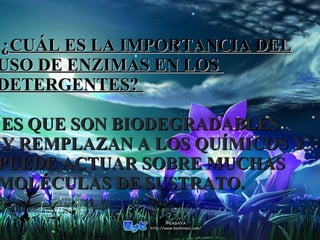 ¿CUÁL ES LA IMPORTANCIA DEL
USO DE ENZIMAS EN LOS
DETERGENTES?
ES QUE SON BIODEGRADABLES
Y REMPLAZAN A LOS QUÍMICOS Y
PUEDE ACTUAR SOBRE MUCHAS
MOLÉCULAS DE SUSTRATO.