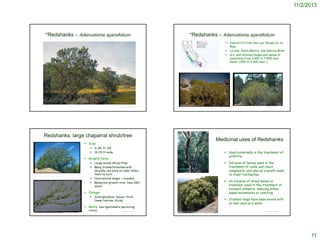 11/2/2013

*Redshanks – Adenostoma sparsifolium

*Redshanks – Adenostoma sparsifolium




Coastal CA from San Luis Obispo Co. to
Baja
Locally: Santa Monica, San Gabriel Mtns.
dry, well-drained slopes and mesas at
elevations from 1,000 to 7,000 feet
(most 1,500 to 5,000 feet )

http://ucjeps.berkeley.edu/cgi-bin/get_JM_treatment.pl?6677,6681,6683

© Project SOUND

Redshanks: large chaparral shrub/tree
6-18+ ft tall
10-15 ft wide

 Used externally in the treatment of
arthritis.

 Growth form:


© Br. Alfred Brousseau, Saint Mary's College




Large woody shrub/tree
Many trunks/branches with
shreddy red bark on older limbs –
‘born to burn’
Nice natural shape – rounded
Moderate growth rate; lives 100+
years

http://www.wildflower.org/plants/result.php?id_plant=ADSP

Sclerophyllous leaves: thick,
linear/narrow, sticky

 Crushed twigs have been mixed with
oil and used as a salve

 Roots: has lignotubers (sprouting
©2004 Steven Perkins

roots)

© Project SOUND

 Infusion of leaves used in the
treatment of colds and chest
complaints, and also as a mouth wash
to treat toothaches.
 An infusion of dried leaves or
branches used in the treatment of
stomach ailments, inducing either
bowel movements or vomiting.

 Foliage:


© Project SOUND

Medicinal uses of Redshanks

 Size:



© Br. Alfred Brousseau, Saint Mary's College

Charles Webber © California Academy of Sciences

http://www.smmflowers.org/bloom/species/Adenostoma_sparsifolium.htm

© Project SOUND

Charles Webber © California Academy of Sciences

11

 