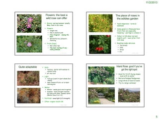 11/2/2013

Flowers: the best a
wild rose can offer

The place of roses in
the edibles garden

 Blooms: spring/summer usually
May-June in our area

 Seed dispersion – birds &
mammals

 Flowers:

 Some genera in Rosaceae have
fruits that are especially
tempting – and high in vitamin C





©2008 Thomas Stoughton
http://www.fireflyforest.com/flowers/3214/rosa-woodsii-woods-rose/



Single rose
Pale to medium pink
Very fragrant – among the
best
Wonderful tea, potpourri,
flavoring

©2006 Larry Blakely

 Collect in fall when red and
slightly soft – best after first
cold snap
 Rosehips make delicious:

 Fruits (hips):



Red when ripe
The best tasting of any –
really premium
©2009 Barry Breckling

http://web.ewu.edu/ewflora/Rosaceae/Rosa%20woodsii.html

Quite adaptable

© Project SOUND

 Soils:
 Texture: better with medium to
coarse/rocky
 pH: any local

 Light:


©2001 Gary A. Monroe

Full sun (coast) to part-shade (hot,
inland)
Best flowers/fruits w/ at least
morning sun






Tea (dried)
Jelly
Syrup
Etc.
© Project SOUND

Inland Rose: good if you’ve
got the right spot
 Good for N & E-facing slopes
- even with no water
 Barriers/hedges/hedgerows
 Large shrub at back of beds
 Try in a large container

 Water:
 Winter: needs good rain/irrigation
 Summer: fairly drought tolerant
but best with some summer water
(Water Zone 2 or 2-3)

 Fertilizer: none/light (1/2 strength)
 Other: organic mulch OK
©2012 Jean Pawek

© Project SOUND

© Project SOUND

5

 