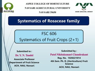 Submitted to :
Associate Professor
Department of Fruit Science
ACH, NAU, Navsari
Systematics of Rosaceae family
Submitted by :
Reg. No. 1020221014
4th Sem. Ph. D. (Horticulture) Fruit
Science
ACH, NAU, Navsari
ASPEE COLLEGE OF HORTICULTURE
NAVSARI AGRICULTURAL UNIVERSITY
NAVSARI 39650
 