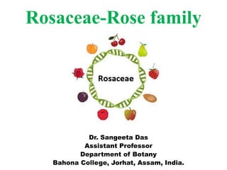 Dr. Sangeeta Das
Assistant Professor
Department of Botany
Bahona College, Jorhat, Assam, India.
Rosaceae-Rose family
 