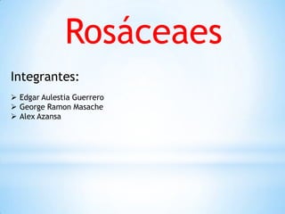 Rosáceaes
Integrantes:
 Edgar Aulestia Guerrero
 George Ramon Masache
 Alex Azansa
 
