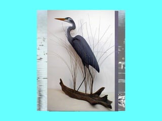 heron 