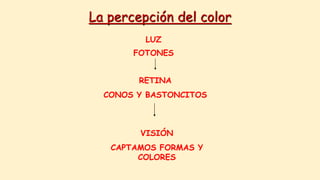 La percepción del color
LUZ
FOTONES
RETINA
CONOS Y BASTONCITOS
VISIÓN
CAPTAMOS FORMAS Y
COLORES
 