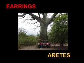 EARRINGS




           ARETES
 