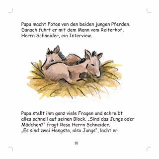 Papa macht Fotos von den beiden jungen Pferden. 
Danach führt er mit dem Mann vom Reiterhof, 
Herrn Schneider, ein Interview. 
Papa stellt ihm ganz viele Fragen und schreibt 
alles schnell auf seinen Block. „Sind das Jungs oder 
Mädchen?“ fragt Rosa Herrn Schneider. 
„Es sind zwei Hengste, also Jungs“, lacht er. 
10 
 