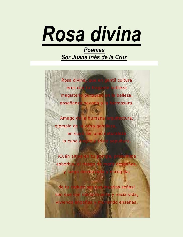 Rosa divina julito Rosa divina julito