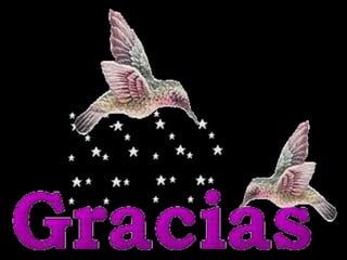 Rosa isabel peralta cubas 5 a