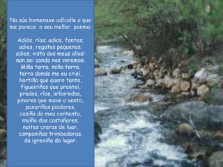 Na súahomenaxeadícolle o que me parece  o seu mellor  poema:Adiós, ríos; adios, fontes;adios, regatos pequenos;adios, vista dos meus ollos:non sei cando nos veremos.Miña terra, miña terra,terra donde me eu criei,hortiña que quero tanto,figueiriñas que prantei,prados, ríos, arboredas,pinares que move o vento,paxariñospiadores,casiña do meu contento,muíño dos castañares,noites craras de luar,campaniñastrimbadoras,da igrexiña do lugar.