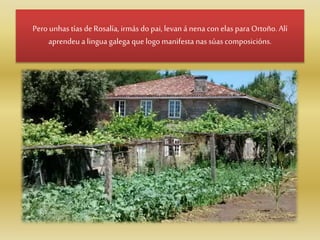 Pero unhas tías deRosalía, irmás do pai, levan á nena con elas para Ortoño. Alí
aprendeu a lingua galega que logo manifesta nas súas composicións.
 