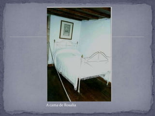 A cama de Rosalia
 