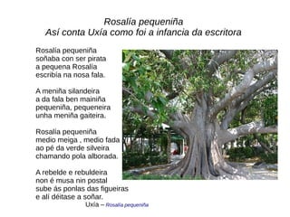 Rosalía pequeniña
Así conta Uxía como foi a infancia da escritora
Rosalía pequeniña
soñaba con ser pirata
a pequena Rosalía
escribía na nosa fala.
A meniña silandeira
a da fala ben mainiña
pequeniña, pequeneira
unha meniña gaiteira.
Rosalía pequeniña
medio meiga , medio fada
ao pé da verde silveira
chamando pola alborada.
A rebelde e rebuldeira
non é musa nin postal
sube ás ponlas das figueiras
e alí déitase a soñar.
Uxía – Rosalía pequeniña
 