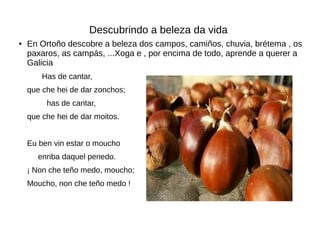 Descubrindo a beleza da vida
● En Ortoño descobre a beleza dos campos, camiños, chuvia, brétema , os
paxaros, as campás, ...Xoga e , por encima de todo, aprende a querer a
Galicia
Has de cantar,
que che hei de dar zonchos;
has de cantar,
que che hei de dar moitos.
Eu ben vin estar o moucho
enriba daquel penedo.
¡ Non che teño medo, moucho;
Moucho, non che teño medo !
 