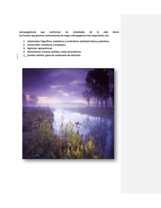 antropogénicas) que conforman las actividades de la vida diaria.
Las fuentes que generan contaminación de origen antropogénico más importantes son:
1. Industriales: frigoríficos, mataderos y curtiembres actividad minera y petrolera.
2. Comerciales: envolturas y empaques.
3. Agrícolas: agroquímicos.
4. Domiciliarias: envases, pañales, restos de jardinería.
5. Fuentes móviles: gases de combustión de vehículos.
 