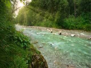 Rosalia de castro..jan