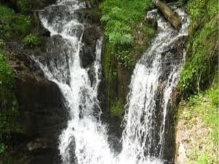 Rosalia de castro..jan