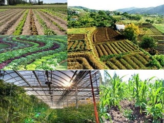 1MBER 2MBER 3MBER 4MBER
0
2
4
6
8
10
12
Columna 1
Columna 2
Columna 3
 