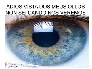 ADIOS VISTA DOS MEUS OLLOS
NON SEI CANDO NOS VEREMOS